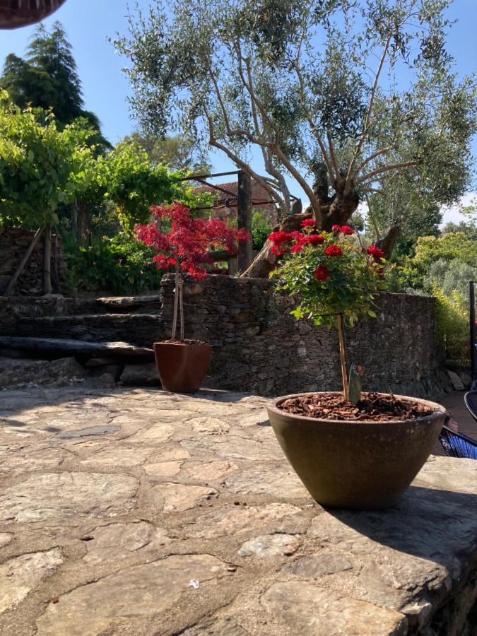 Casa Lia Da Porta Villa Caminha Eksteriør bilde