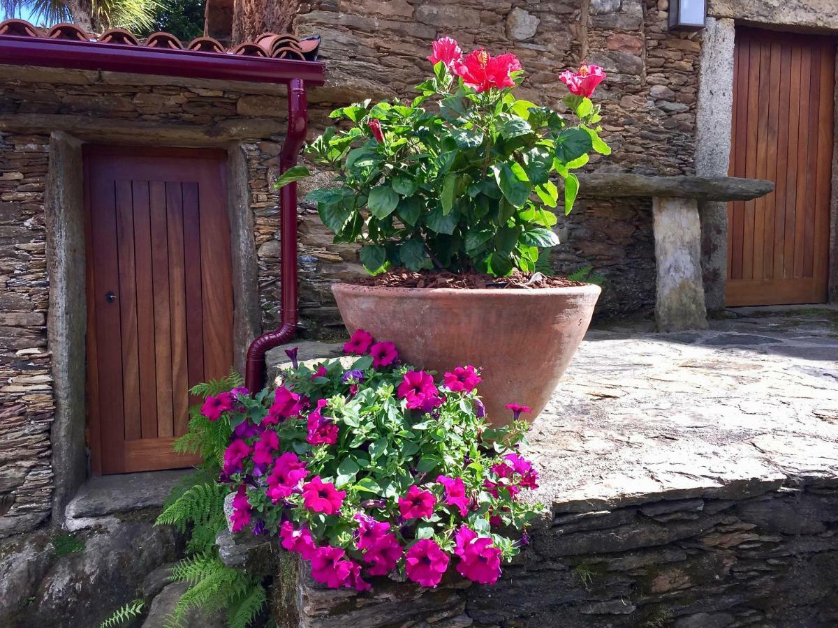 Casa Lia Da Porta Villa Caminha Eksteriør bilde