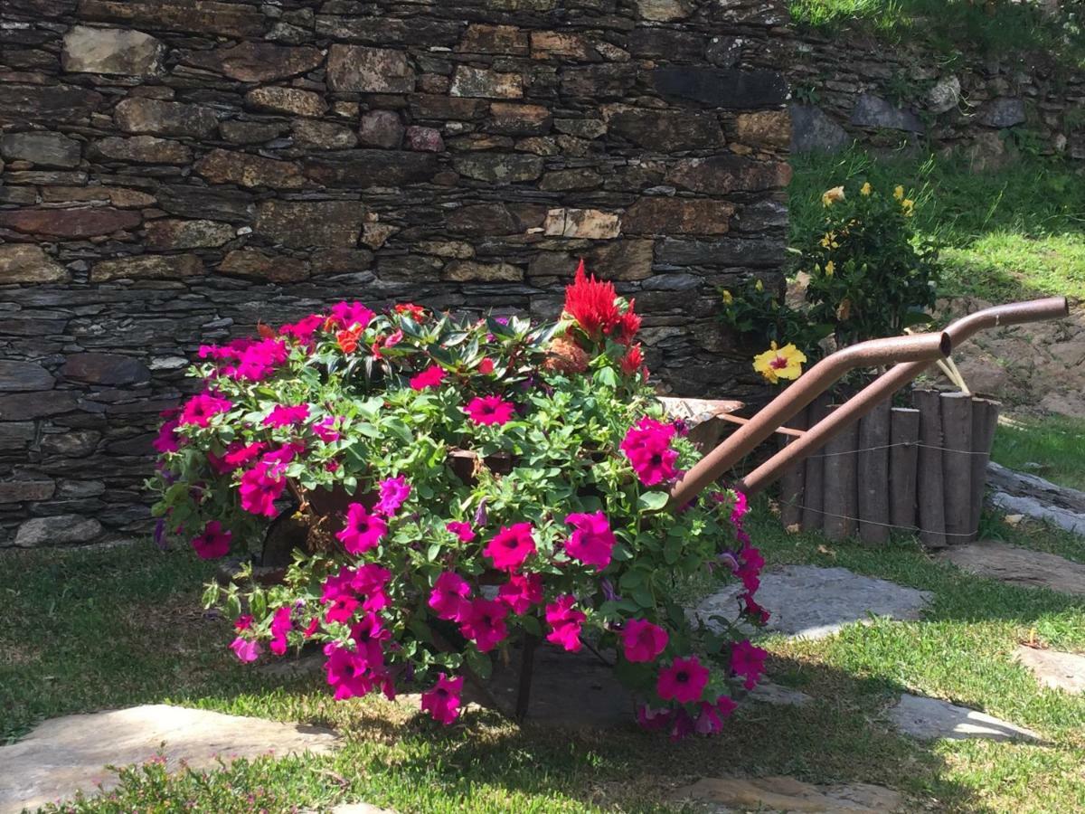 Casa Lia Da Porta Villa Caminha Eksteriør bilde