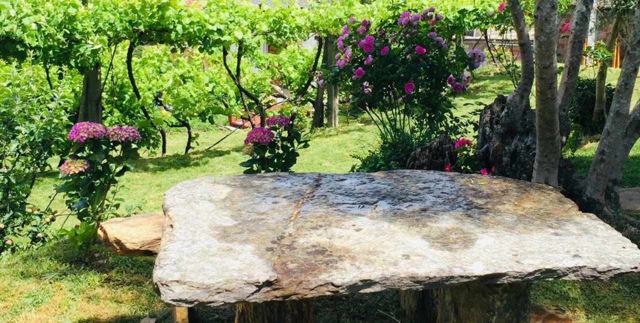 Casa Lia Da Porta Villa Caminha Eksteriør bilde